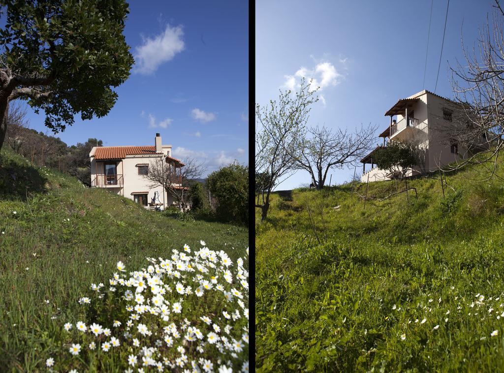Aori Hillside Villa Kántanos Exterior foto